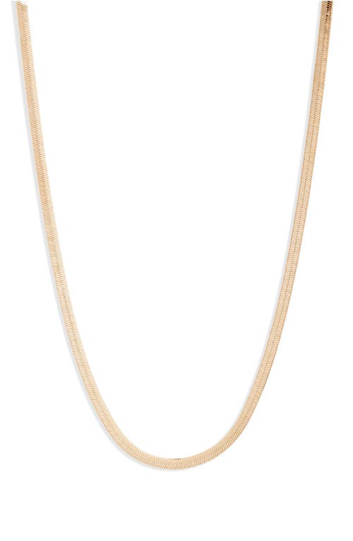 SHYMI Glamour Snake Chain Necklace in Gold at Nordstrom, Size 16