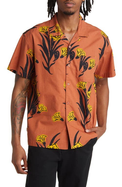 Obey Loa Floral Short Sleeve Button-Up Shirt in Terracotta Multi