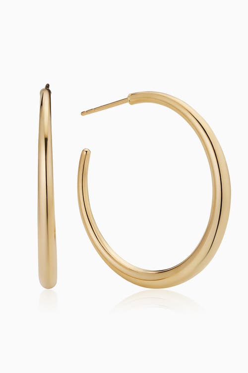 Oradina Women's 14k Yellow Gold The Archie Hoops In Yellow Gold