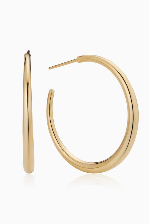 Shop Oradina 14k Yellow Gold The Archie Hoops