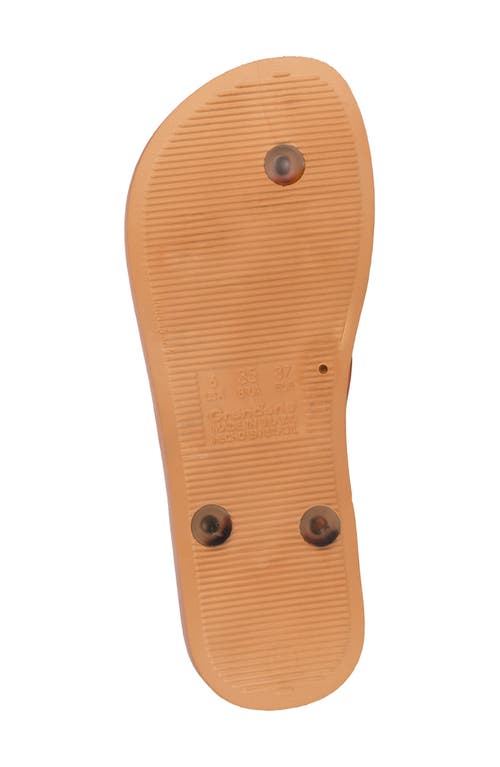Ipanema Ana Flip Flop In Brown/clear