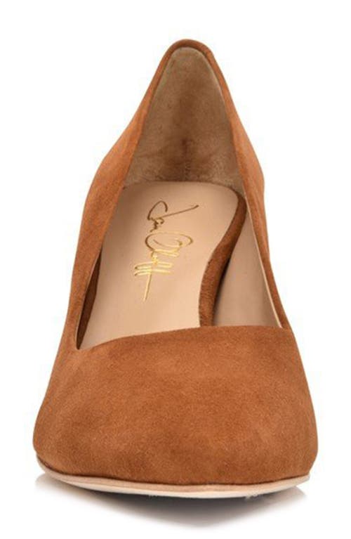 Joan Oloff Riley Pointed Toe Pump In Autumn Kid Suede