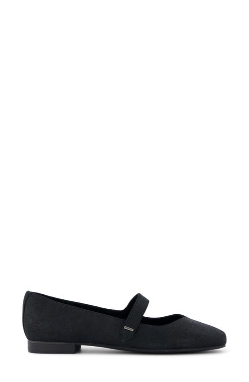 Shop Toms Bianca Mary Jane Flat In Black