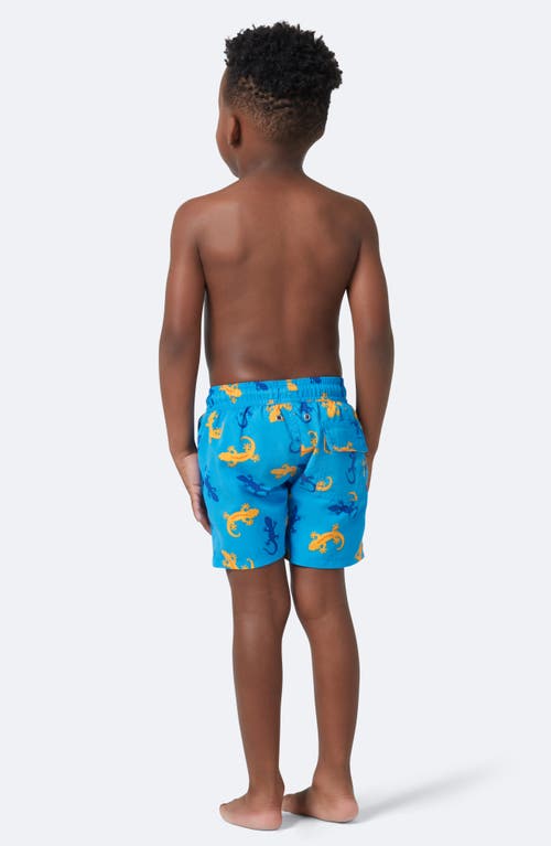 Tom & Teddy Kids' Gecko Swim Trunks In Blue/orange