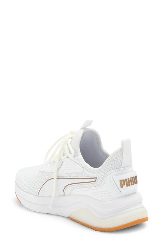 Shop Puma Amplifier Sneaker In White- Gold