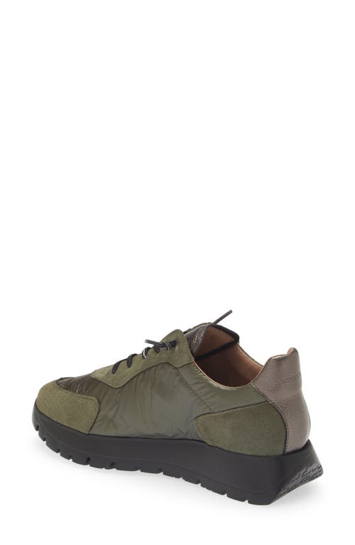 Wonders Oslo Khaki Metallic Suede & Nylon Trainers In Khaki Black Lead Combo
