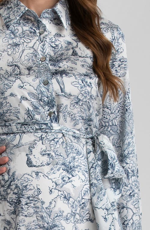 Pietro Brunelli Print Long Sleeve Maternity Dress In Dark Blue