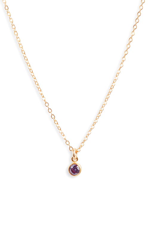 Birthstone Charm Pendant Necklace in Gold /February