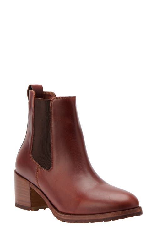 Ana Go-To Chelsea Boot in Terracotta