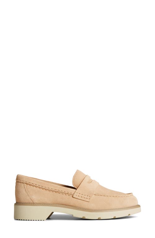 Shop Sperry Top-sider® Wells Penny Loafer In Sand