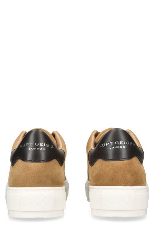Kurt Geiger Laney Platform Suede Trainers In Light/pastel Brown