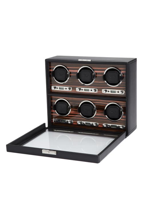 Wolf Roadster 6-watch Winder & Case In Black