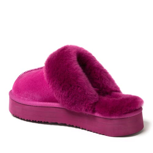 Shop Dearfoams Fireside Melton Genuine Shearling Platform Scuff Slipper In Mystic Purple