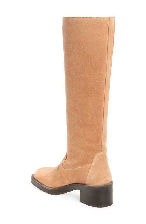 Shop Stuart Weitzman Kaia Knee High Boot In New Camel Sport Suede