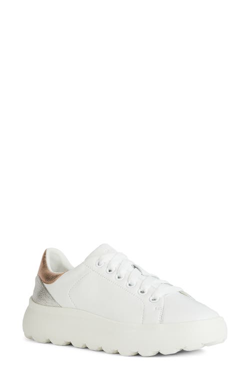 Geox Spherica Ec4.1 Sneaker In White/rose Gold