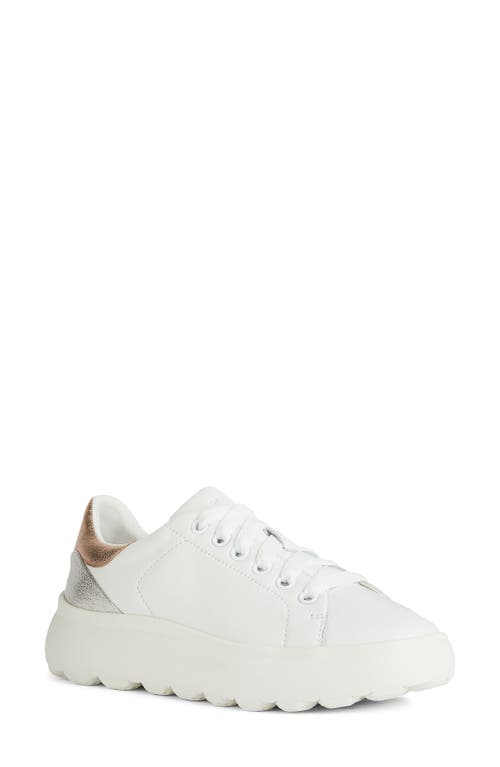 Geox Spherica EC4.1 Sneaker White/Rose Gold at Nordstrom,