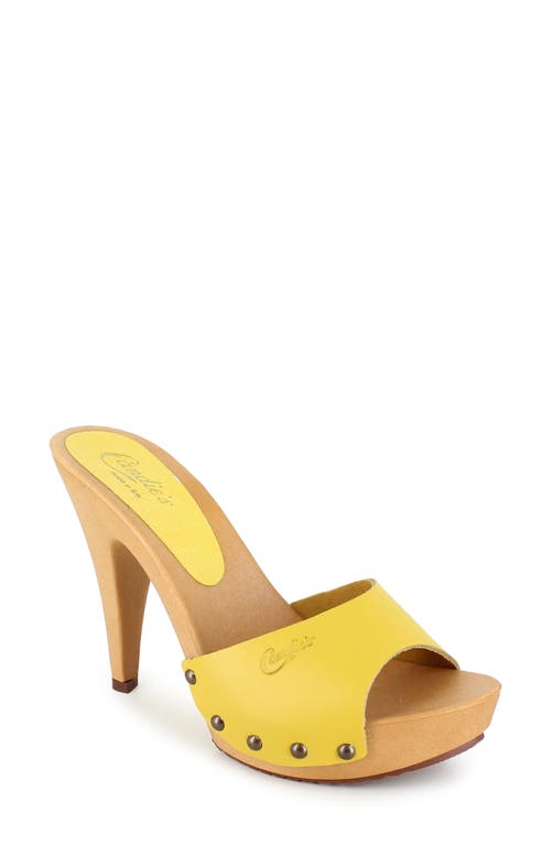 Viviana Slide Sandal in Mustard