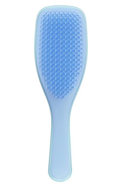 Ultimate Detangler Hairbrush in Blue/turquoise