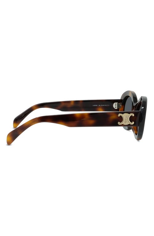 Celine Triomphe 54mm Oval Sunglasses In Shiny Classic Havana/smoke