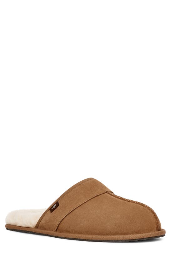 leisure suede uggpure