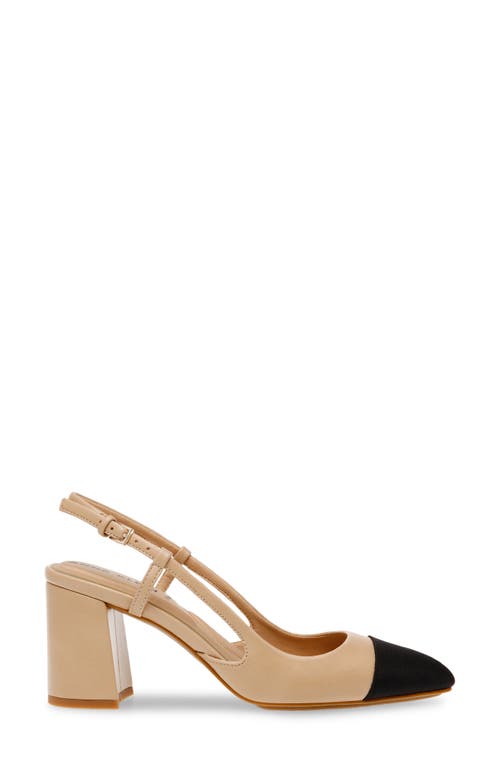Anne Klein Brinlee Pointed Toe Pump In Nude/black