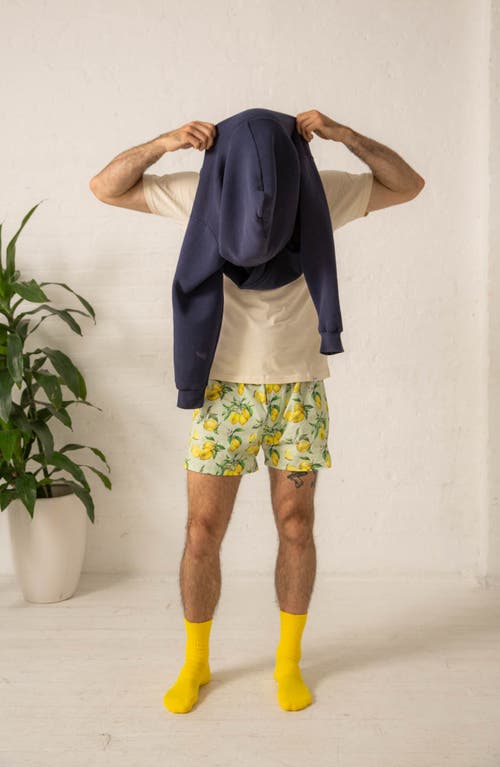 Shop Druthers Nyc Organic Cotton Watercolor Lemons Boxer Short In Lavender