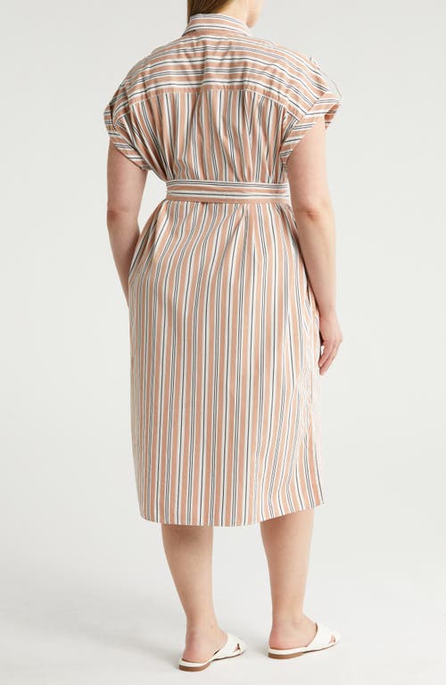 Shop Nordstrom Stripe Belted Cotton Utility Shirtdress In Beige Tuscany Leon Stripe