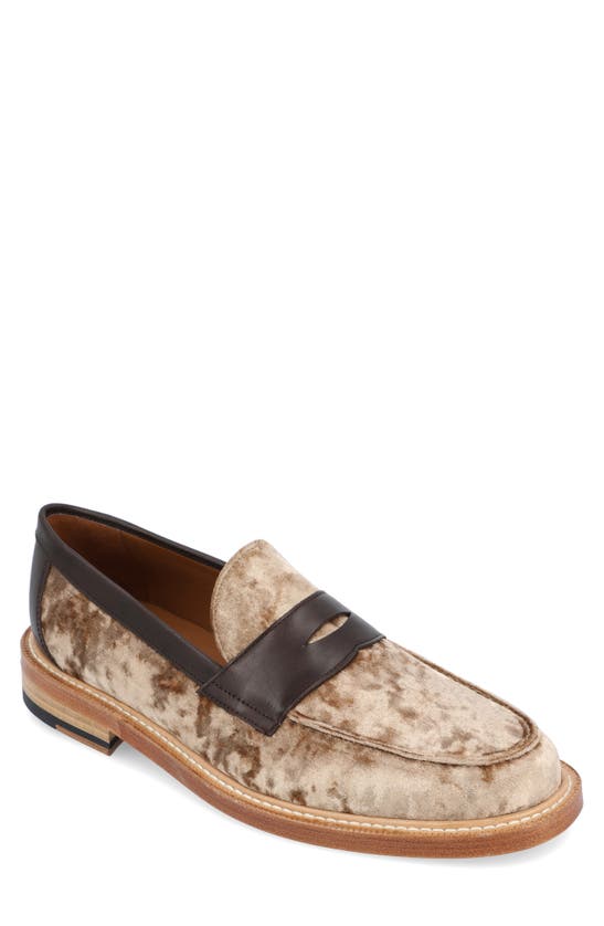 Shop Taft Fitz Suede Penny Loafer In Champagne