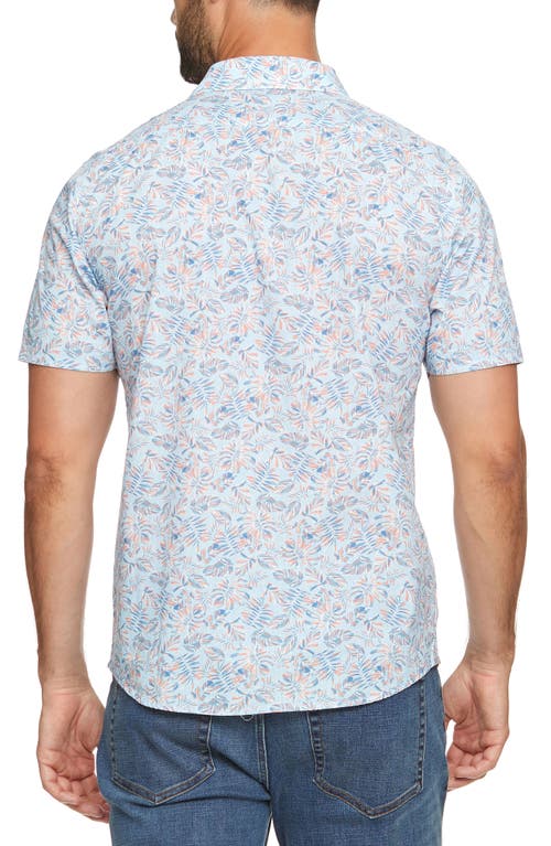 Shop Flag And Anthem Florida Palm Print Short Sleeve Shirt In Light Blue/coral