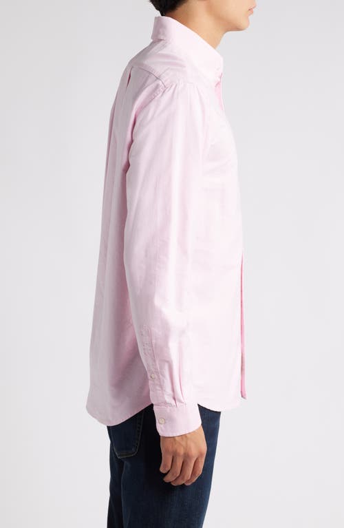 Shop Schott Nyc Button-down Oxford Shirt In Pink