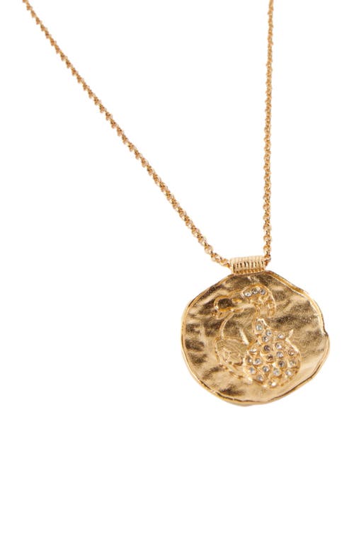 Maje Zodiac Medal In Capricorn