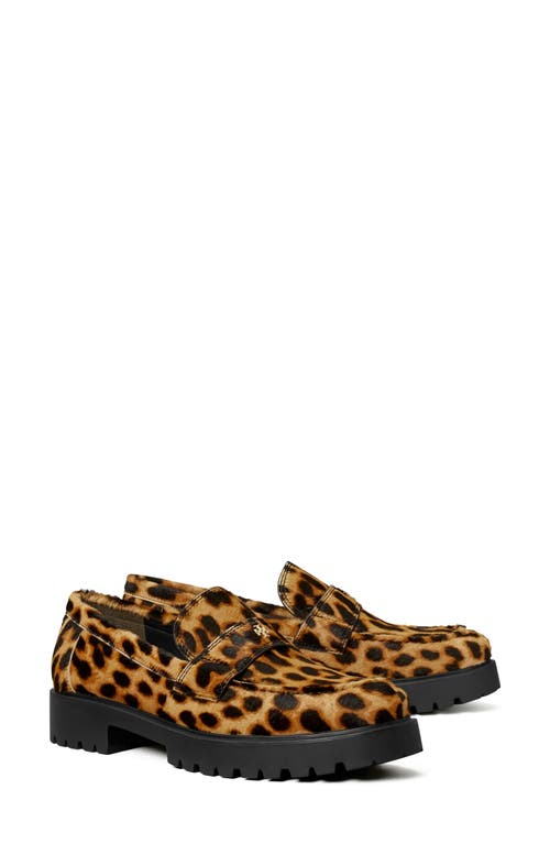 Shop Tory Burch Classic Genuine Calf Hair Platform Lug Sole Loafer In Classic Leopard