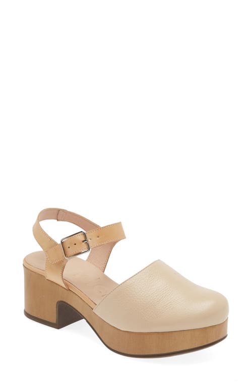 Shop Wonders Platform Clog In Wild Natural/pergamena Sand