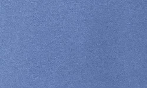 Shop Champion Stripe Raglan Sleeve T-shirt In Plaster Blue/nat/plstr Blue