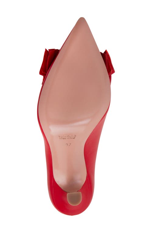 Shop Beautiisoles Olga Pointed Toe Pump In Red