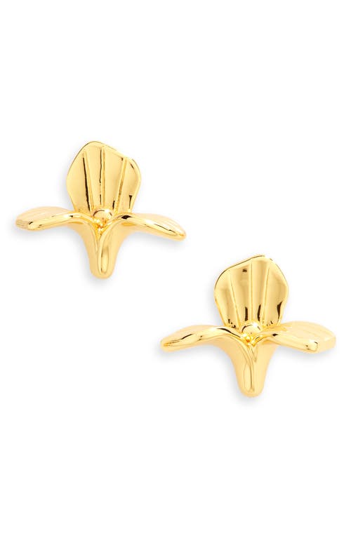 Lele Sadoughi Trillium Stud Earrings in Gold at Nordstrom