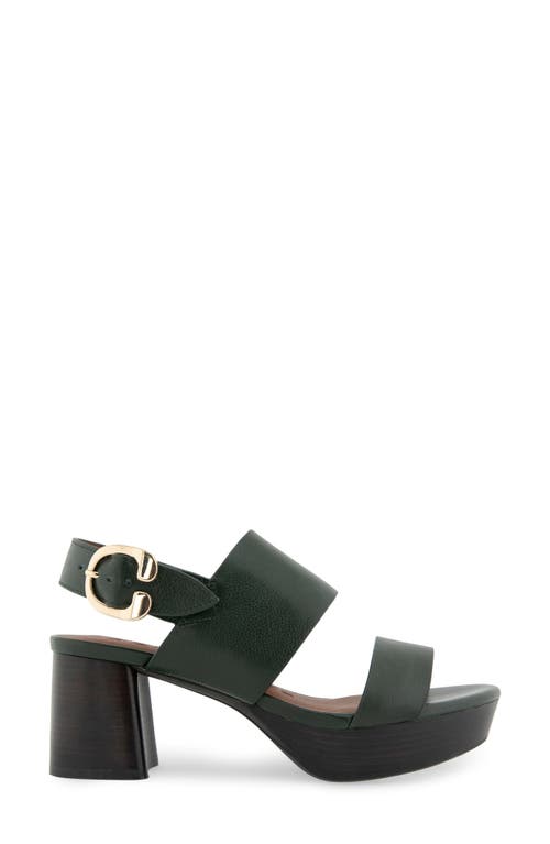 Shop Aerosoles Camera Platform Sandal In Fir Green Leather