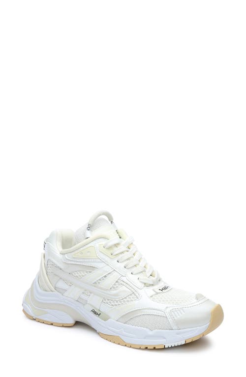 Ash Race Sneaker in Off White