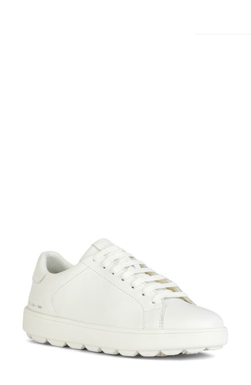 Spherica Sneaker in White