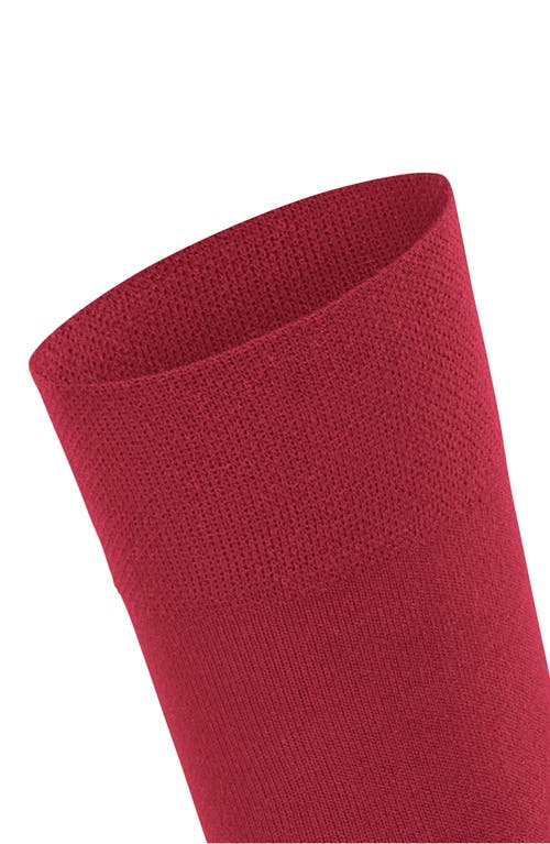 Shop Falke Sensitive New York Crew Socks In Scarlet