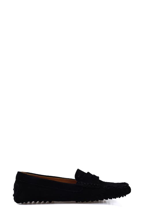 National Comfort Talulah Penny Loafer In Black Suede