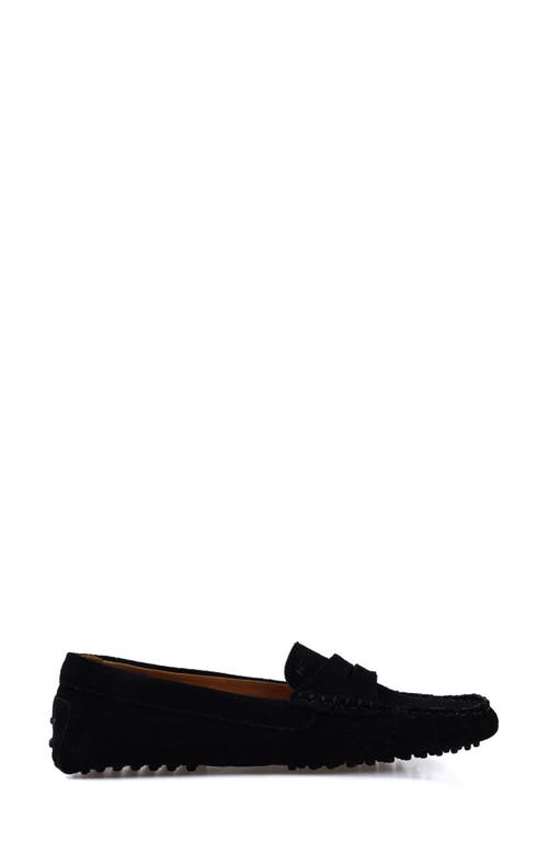 Shop National Comfort Talulah Penny Loafer In Black Suede