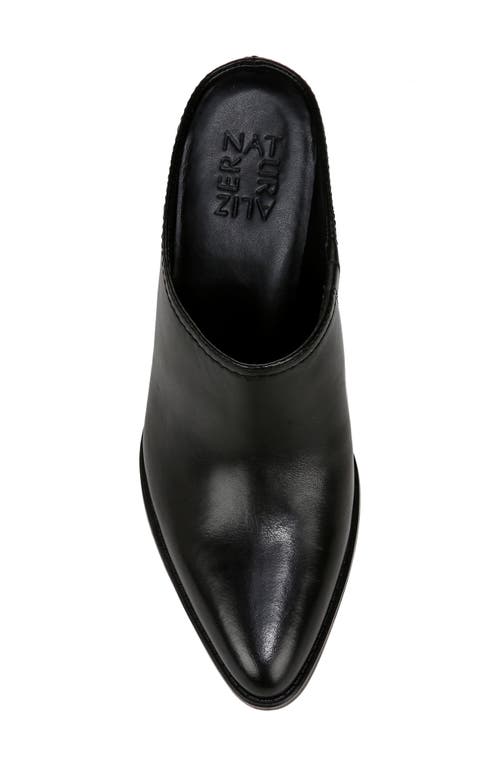 Naturalizer Fairmont Pointed Toe Mule In Black
