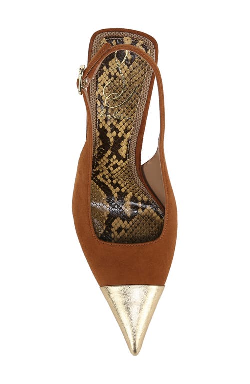 Shop Sam Edelman Odette Slingback Pointed Cap Toe Pump In Frontier Brown/amber Gold