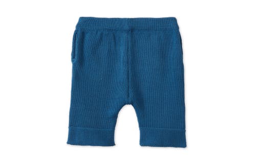 Vild House Of Little Organic Cotton Nordic Knit Shorts In Fjord Blue