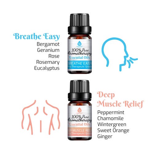 Pursonic 6 Pack Of 100% Pure Essential Aromatherapy Oils Blends In Multicolor