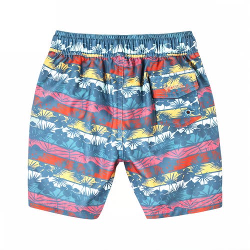 Uv Skinz Board Shorts In Malibu Sunset Stripe