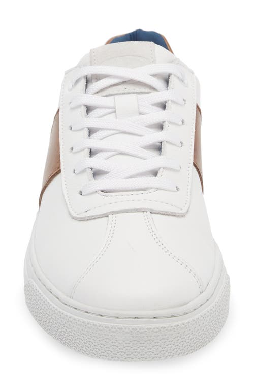G Brown Jolt Low Top Sneaker In White/taupe