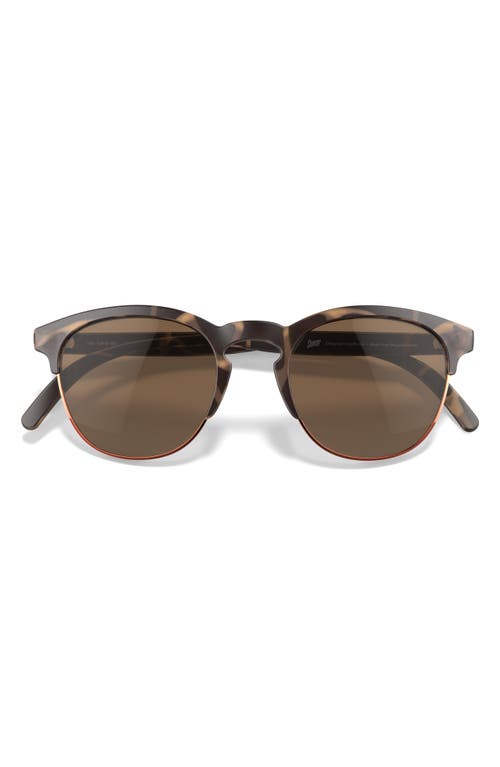 Avila 51mm Polarized Browline Sunglasses in Tortoise Amber