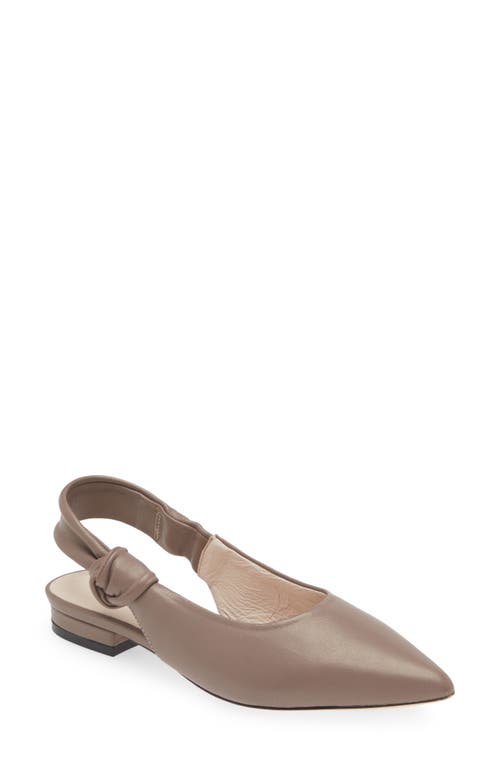 Understated Slingback Pointed Toe Flat in Taupe Leather